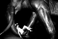 Portfolio-20110422-003