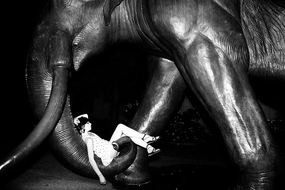 Portfolio-20110422-003