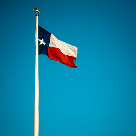 Life in Texas-20110130-012